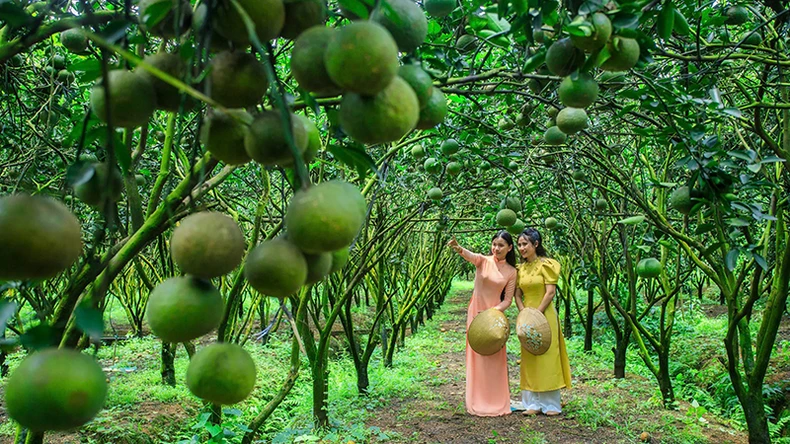 Nông thôn mới kiểu mẫu gắn với làng thông minh ảnh 2