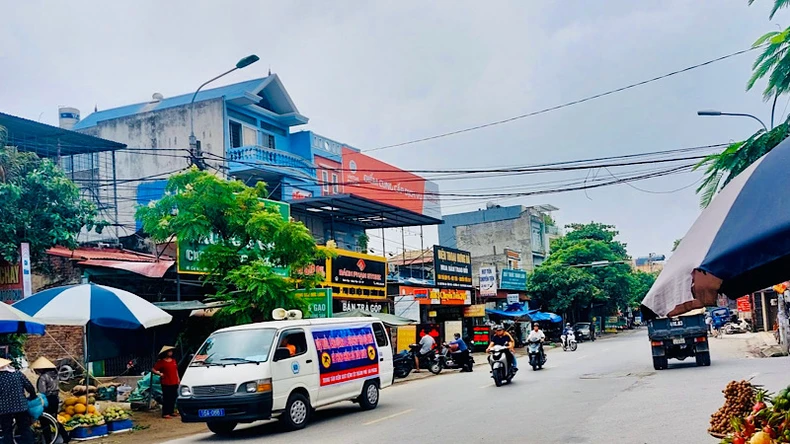 Hải Phòng: Số ca mắc sốt xuất huyết Dengue tăng cao, vượt hơn 10 nghìn ca ảnh 4