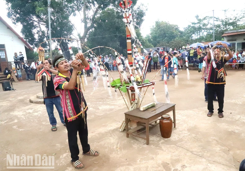 [Ảnh] Buôn làng rộn ràng trong ngày Lễ hội mừng lúa mới ảnh 3