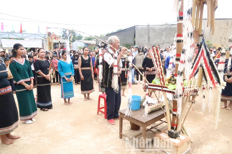 [Ảnh] Buôn làng rộn ràng trong ngày Lễ hội mừng lúa mới ảnh 7