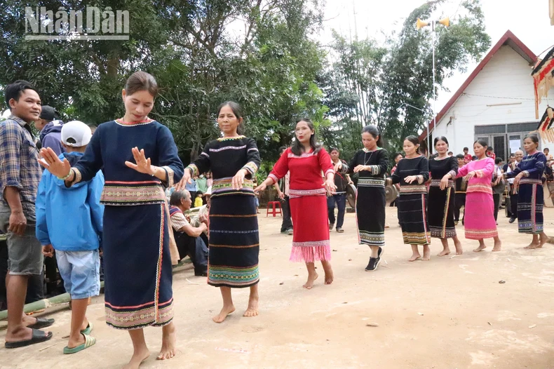 [Ảnh] Buôn làng rộn ràng trong ngày Lễ hội mừng lúa mới ảnh 13