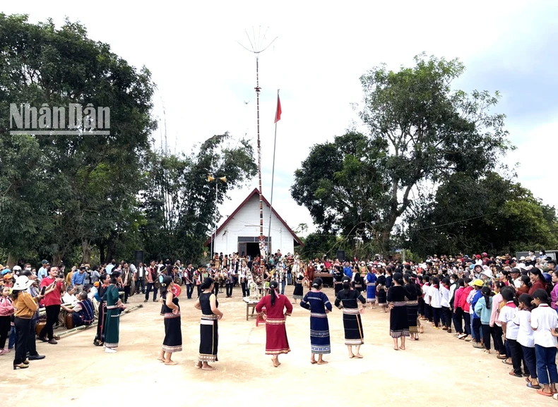 [Ảnh] Buôn làng rộn ràng trong ngày Lễ hội mừng lúa mới ảnh 17