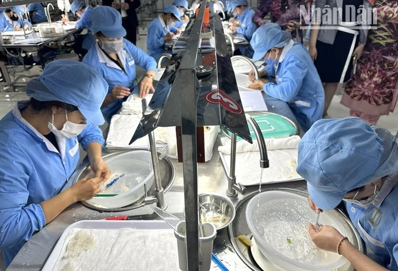 Xuất khẩu chính ngạch lô sản phẩm tổ yến đầu tiên của huyện Krông Pắc sang thị trường Trung Quốc ảnh 3