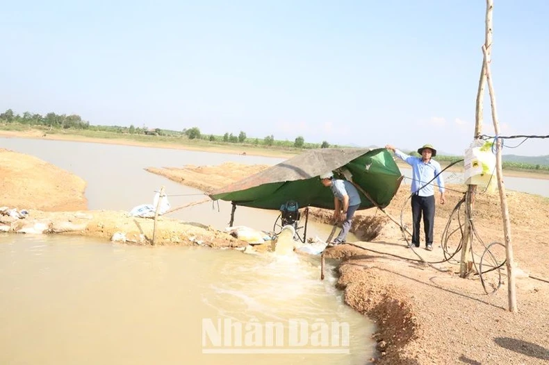 Hàng nghìn ha cây trồng ở Đắk Lắk đang đối mặt với khô hạn nặng ảnh 10