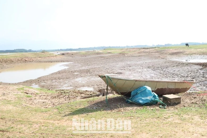 Hàng nghìn ha cây trồng ở Đắk Lắk đang đối mặt với khô hạn nặng ảnh 3