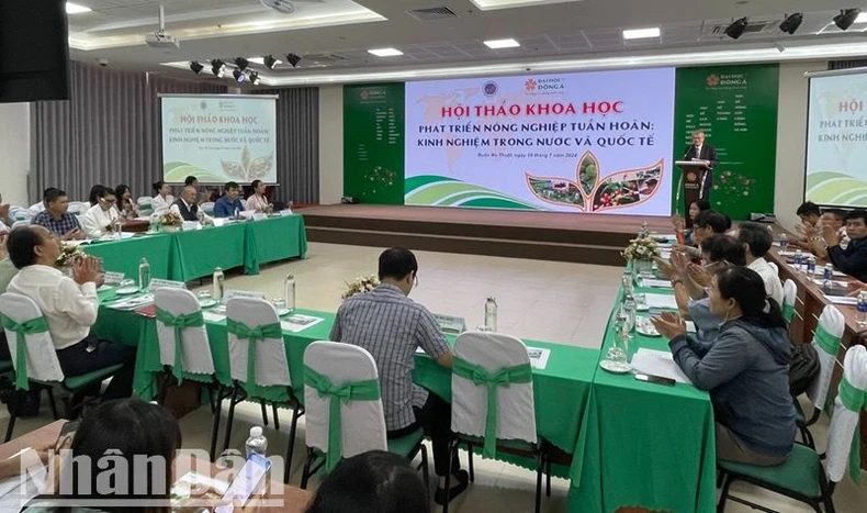 Thúc đẩy phát triển kinh tế nông nghiệp tuần hoàn ở Đắk Lắk ảnh 1