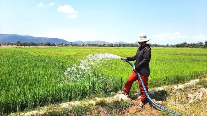 Để “trụ cột” của nền kinh tế tỉnh Đắk Lắk phát triển bền vững ảnh 3