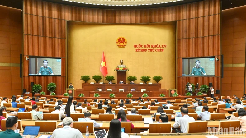 Cán bộ, công chức, viên chức Nhà nước có thể tham gia lực lượng gìn giữ hòa bình ảnh 2