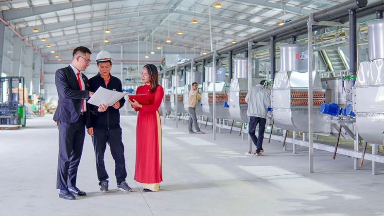 Agribank “tung” loạt gói vay ưu đãi hỗ trợ doanh nghiệp bứt phá kinh doanh ảnh 3