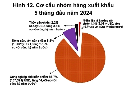 Nhập siêu bất ngờ quay trở lại trong tháng 5/2024 ảnh 1