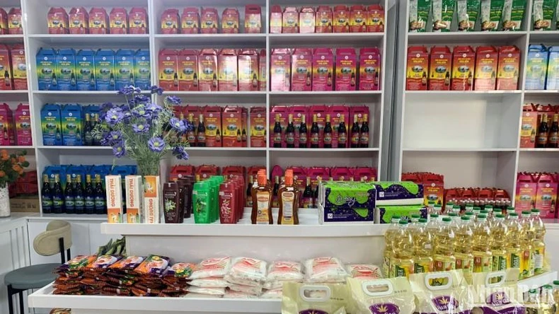 Xúc tiến tiêu thụ sản phẩm OCOP Quảng Ninh tại Hà Nội ảnh 1