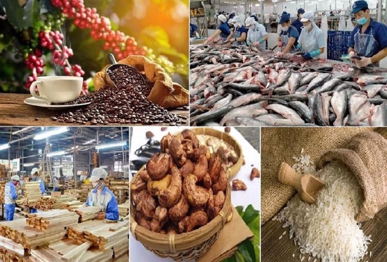 Ngành nông nghiệp nỗ lực giữ vững thị trường và phát triển kinh tế xanh ảnh 1