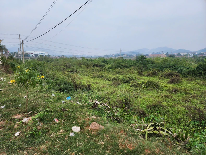 Cưỡng chế giải phóng mặt bằng thực hiện dự án trọng điểm tại Phú Thọ ảnh 1