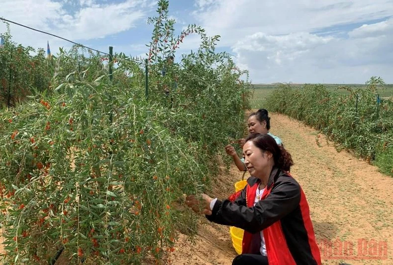 Ngành du lịch Trung Quốc nỗ lực phục hồi sau đại dịch -0