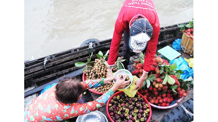 Nhịp sống trên sông ảnh 3
