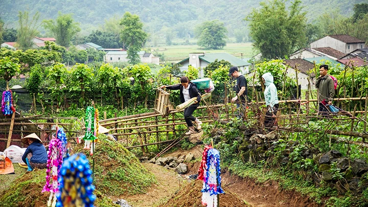 Tết Thanh minh ở Trùng Khánh ảnh 3