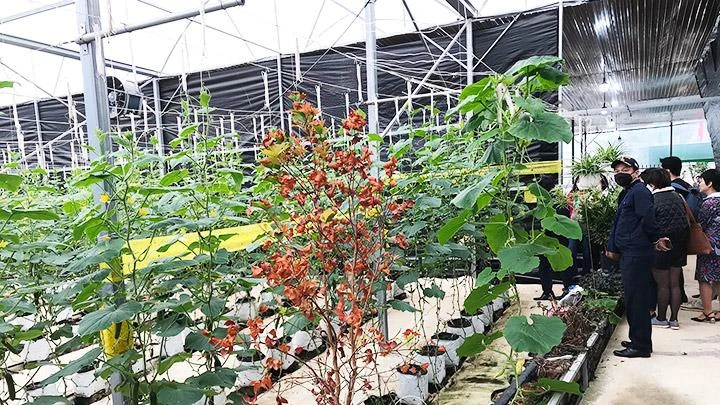 Chuyển đổi số nông nghiệp Tây Nguyên cần thêm lực đẩy -0