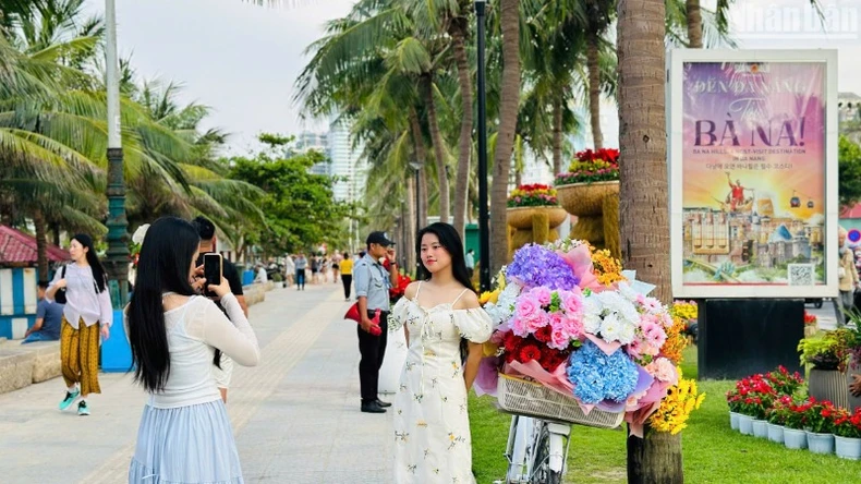 Đà Nẵng đưa Đường hoa biển vào phục vụ người dân, du khách ảnh 1