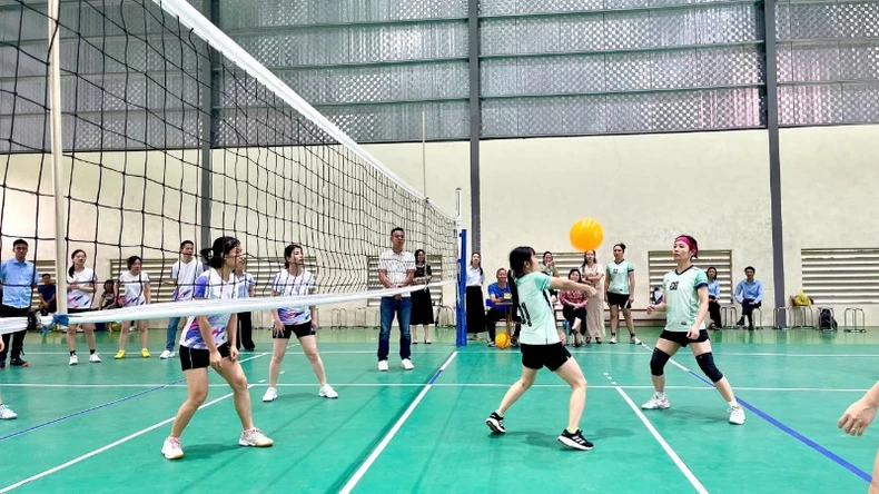 Ninh Bình khởi tranh Giải bóng chuyền hơi nữ và bóng chuyền nam năm 2025 ảnh 2