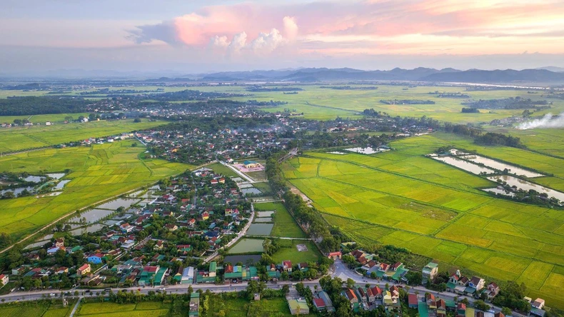 Làng Sen, điểm hẹn tháng 5 ảnh 2 Làng Sen, điểm hẹn tháng 5 ảnh 2