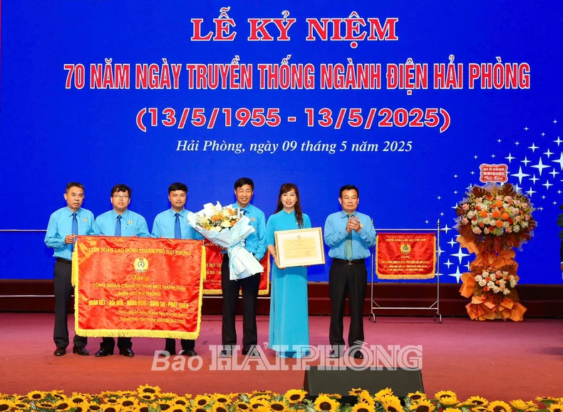 Điện lực Hải Phòng đóng góp vào sự phát triển của thành phố ảnh 3