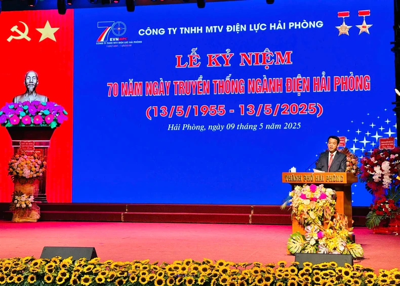 Điện lực Hải Phòng đóng góp vào sự phát triển của thành phố ảnh 2