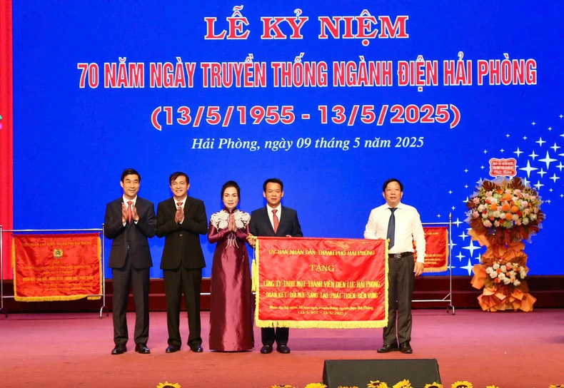 Điện lực Hải Phòng đóng góp vào sự phát triển của thành phố ảnh 5