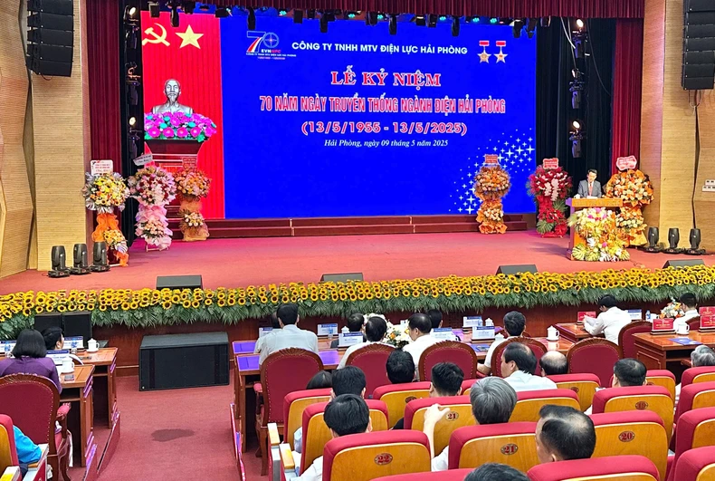 Điện lực Hải Phòng đóng góp vào sự phát triển của thành phố ảnh 1