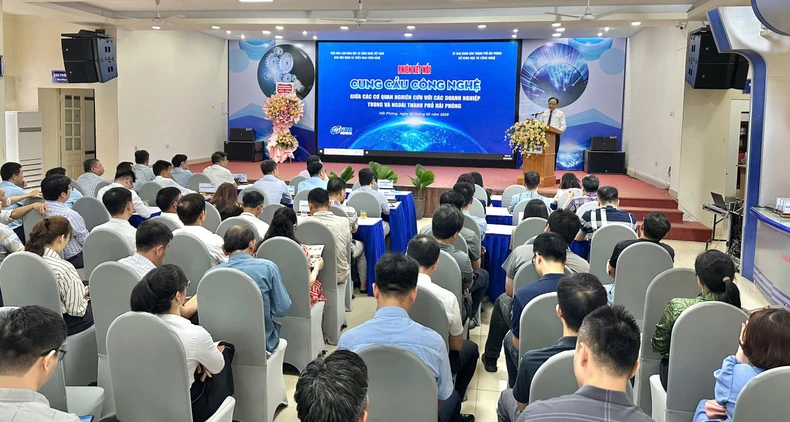 Hải Phòng đẩy mạnh kết nối cung-cầu công nghệ ảnh 2