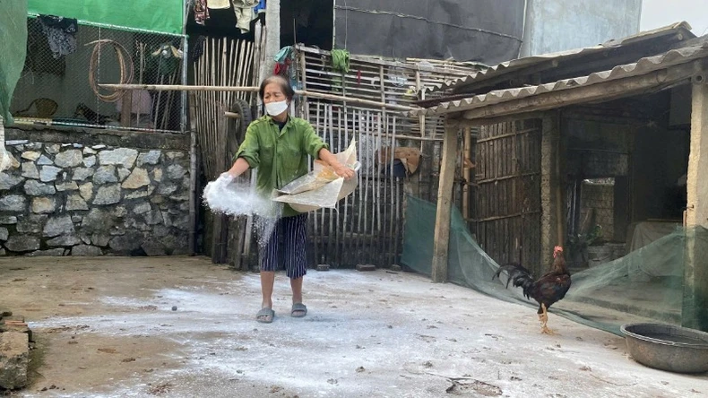 Dịch tả lợn châu Phi diễn biến khá phức tạp tại Nghệ An ảnh 1