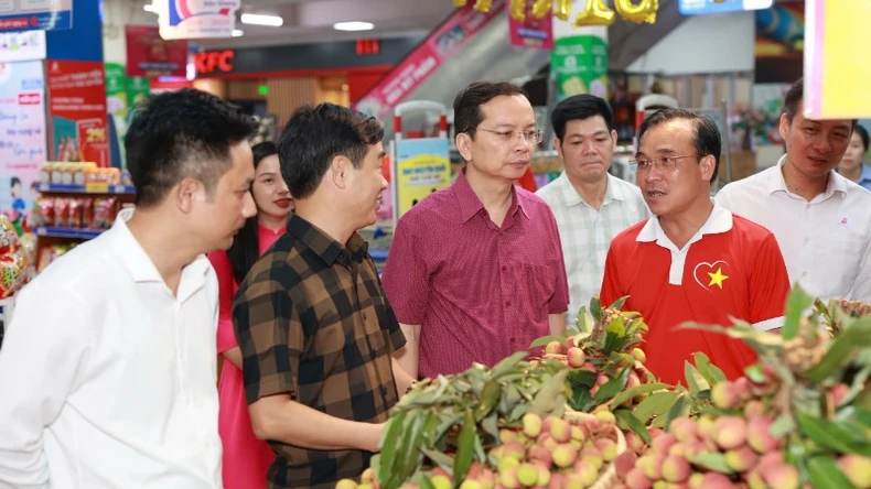 ទីក្រុង​ហូជីមិញ​សហការ​ប្រើប្រាស់​ផ្លែ​ល្មុត Bac Giang រូបថត ១