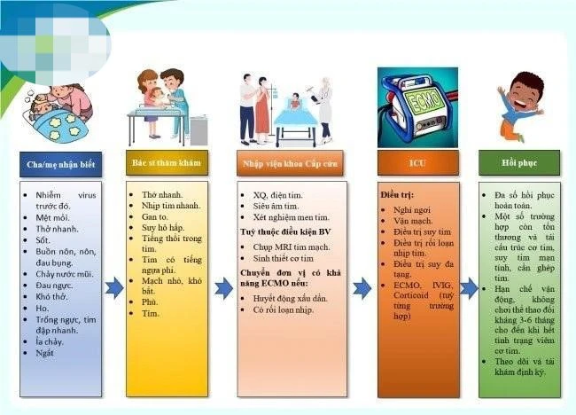 Kích hoạt ECMO lưu động, xuyên đêm cứu bé gái viêm cơ tim tối cấp ảnh 4