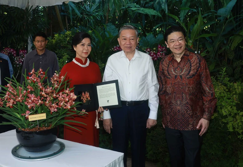 Singapore đặt tên hoa lan theo tên Tổng Bí thư Tô Lâm và Phu nhân ảnh 1