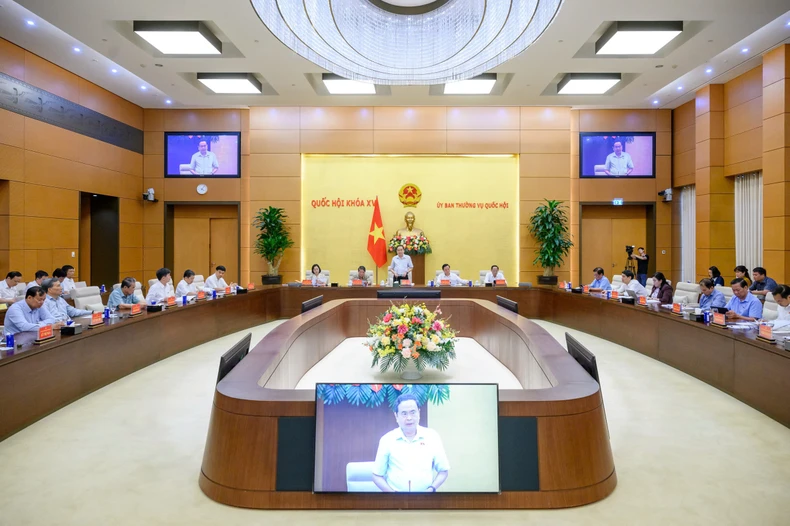 Phát huy trí tuệ và trách nhiệm cao nhất đối với cử tri và đất nước ảnh 1