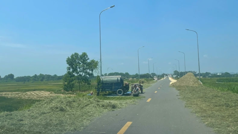 Vào mùa gặt, quốc lộ lại biến thành sân phơi ảnh 1