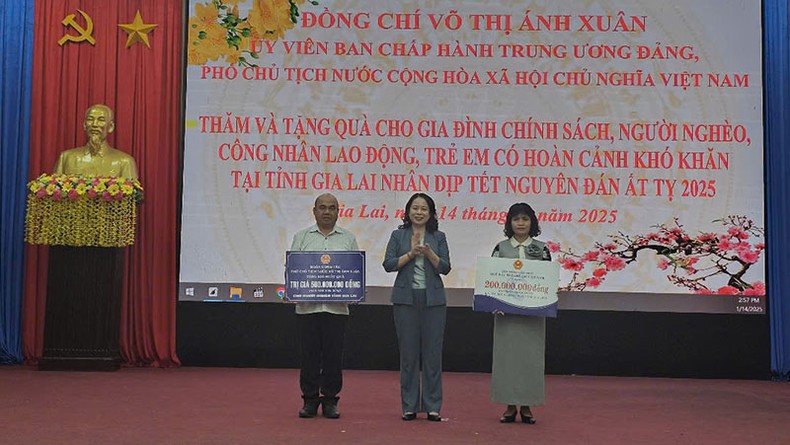  Phó Chủ tịch nước Võ Thị Ánh Xuân thăm, tặng quà chúc Tết tại tỉnh Gia Lai ảnh 2