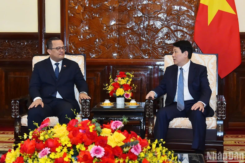 Chủ tịch nước Lương Cường tiếp Đại sứ Cộng hòa Dominicana đến chào từ biệt ảnh 1