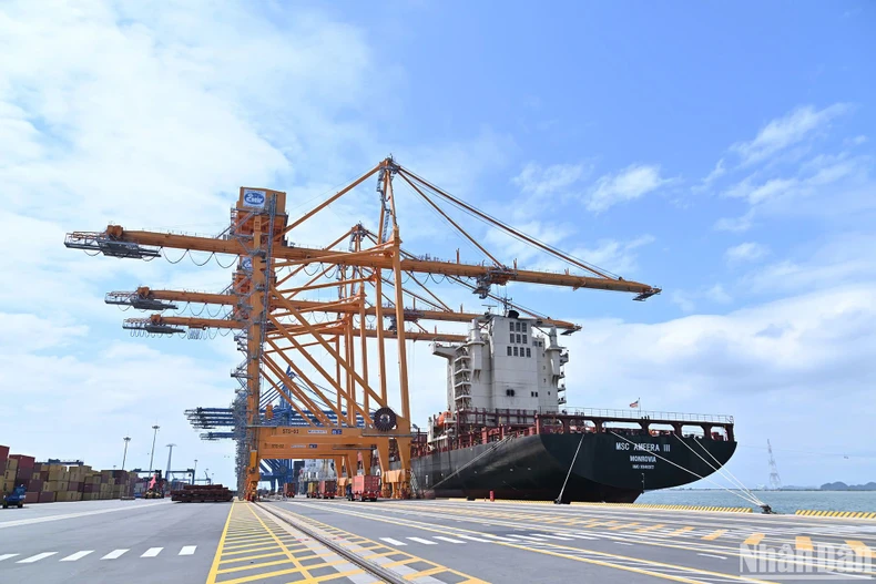 Chủ tịch nước Lương Cường dự lễ khánh thành bến cảng container quốc tế tại Hải Phòng ảnh 3