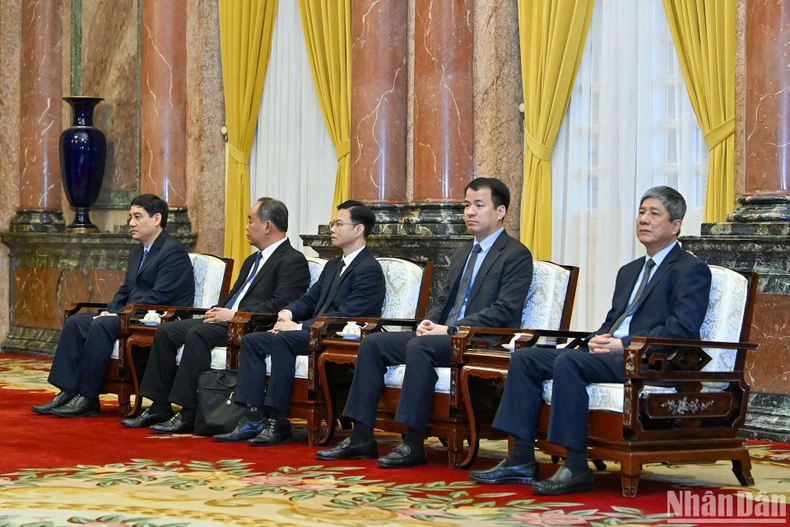 Chủ tịch nước Lương Cường tiếp Phó Chủ tịch nước Lào Pany Yathotou ảnh 1