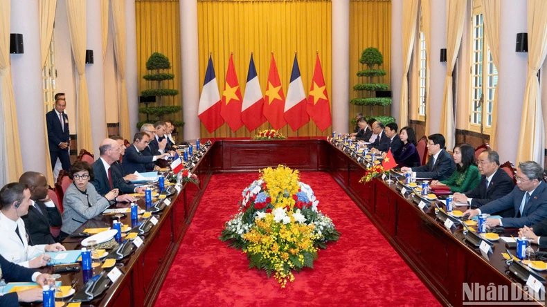 Chủ tịch nước Lương Cường hội đàm với Tổng thống Pháp Emmanuel Macron ảnh 4