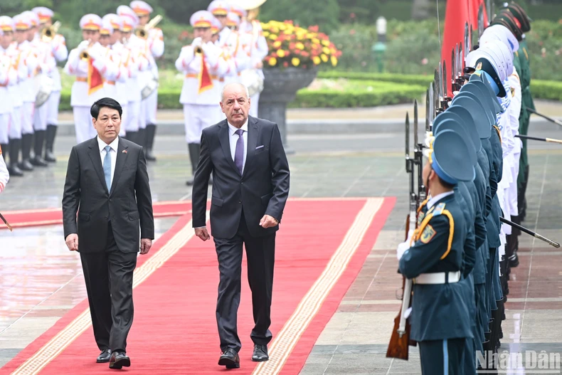 Le président Luong Cuong a présidé la cérémonie d'accueil de la visite officielle du président hongrois au Vietnam photo 1