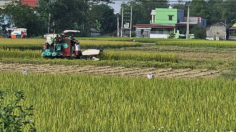 Tích tụ, tập trung đất, sản xuất nông nghiệp quy mô lớn, công nghệ cao ở Thanh Hóa ảnh 2