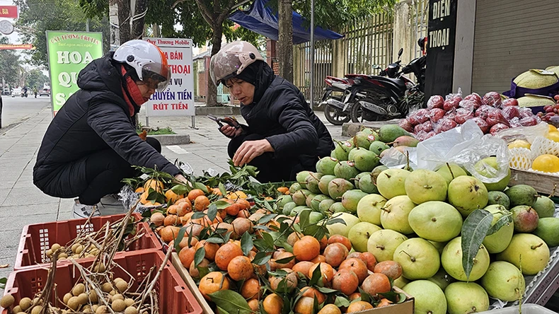 Tích tụ, tập trung đất, sản xuất nông nghiệp quy mô lớn, công nghệ cao ở Thanh Hóa ảnh 5