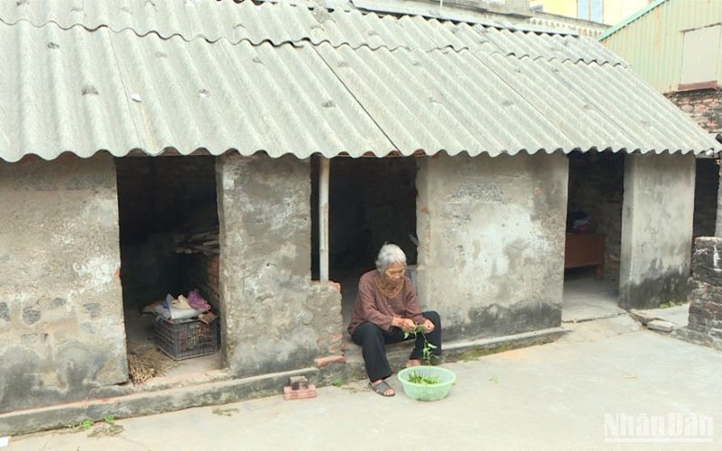 Điểm sáng xóa nhà tạm, nhà dột nát ở tỉnh Thái Bình ảnh 1