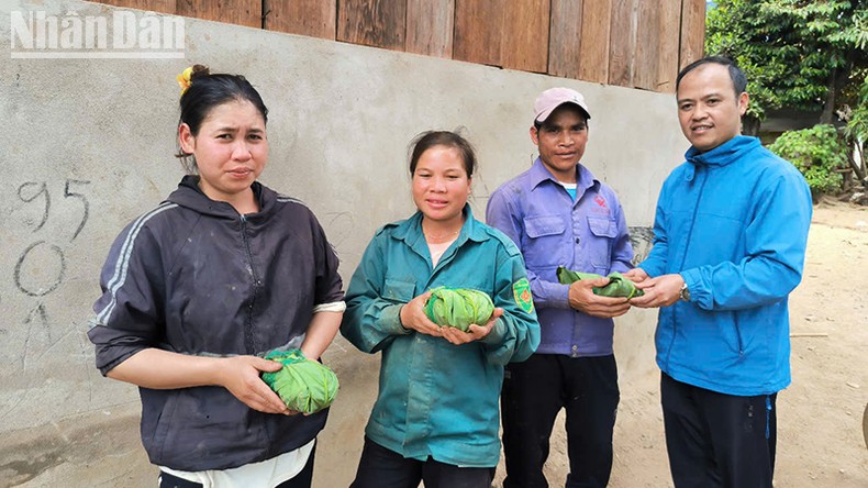 Kon Tum: Cấp hơn 3.000 cây giống sâm Ngọc Linh cho hộ nghèo, cận nghèo ảnh 1