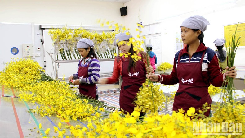 Thành phố Hồ Chí Minh và các tỉnh Tây Nguyên hợp tác kiểm soát chất lượng hàng hóa ảnh 3