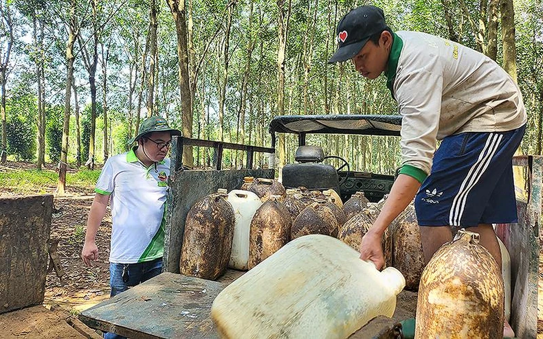 ការចាប់ផ្តើមកសិកម្មជោគជ័យពីទស្សនវិជ្ជានៃសុភមង្គលគ្រួសារ រូបថត ១