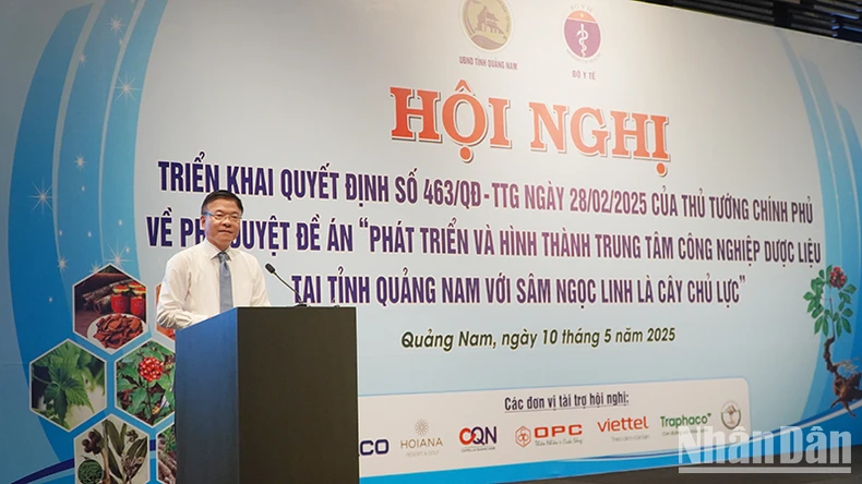 Phát triển và hình thành trung tâm công nghiệp dược liệu tại tỉnh Quảng Nam với sâm Ngọc Linh là cây chủ lực ảnh 5