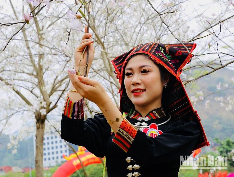 [Ảnh] Sôi động Lễ hội hoa ban thành phố Sơn La ảnh 15