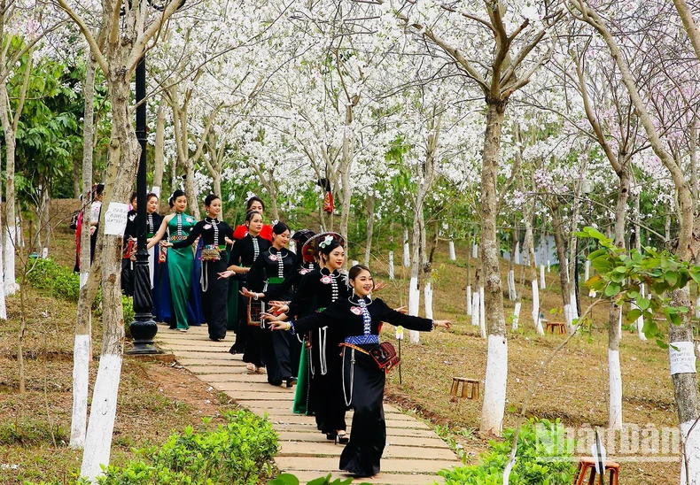 [Ảnh] Sôi động Lễ hội hoa ban thành phố Sơn La ảnh 13